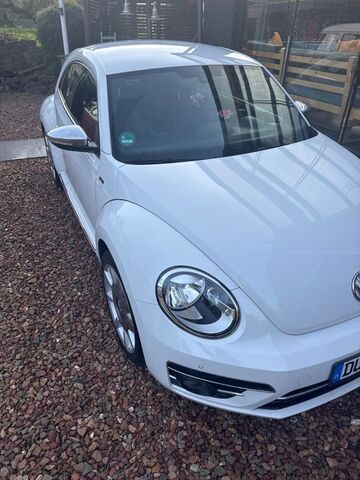 Gebrauchte VW Beetle