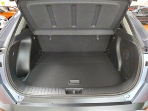 Hyundai Kona Prime 2WD AHK Bose SHZ LHZ Navi Kam 12.578 km 25.479 &euro; HAAN 42781