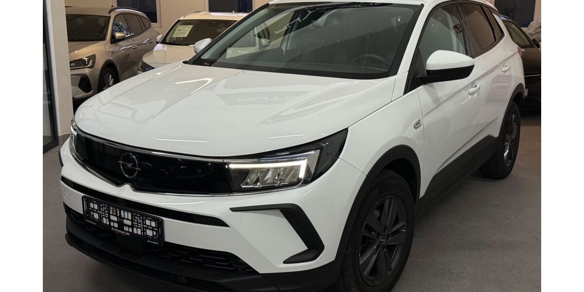 Opel Grandland (X) 100.671 km 16.950 &euro; Remscheid 42859
